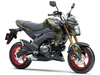 2026 Kawasaki Z125 Pro - Photo 4