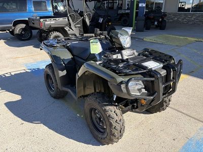 2025 Honda FourTrax Foreman Rubicon 4x4 EPS - Photo 2