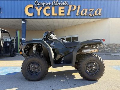 2025 Honda FourTrax Foreman Rubicon 4x4 EPS - Photo 9