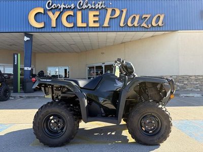 2025 Honda FourTrax Foreman Rubicon 4x4 EPS - Photo 8