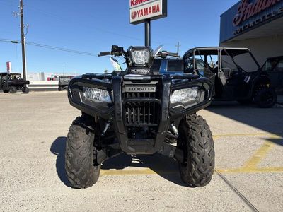 2025 Honda FourTrax Foreman Rubicon 4x4 EPS - Photo 1