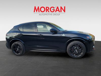 2024 Alfa Romeo Stelvio - Photo 2