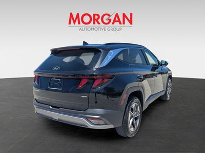 2025 Hyundai Tucson - Photo 5