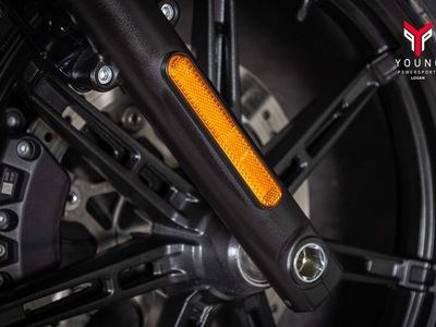 2023 Harley-Davidson RH975 - Nightster - Photo 13
