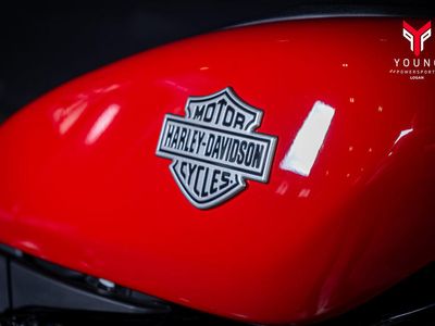 2023 Harley-Davidson RH975 - Nightster - Photo 14