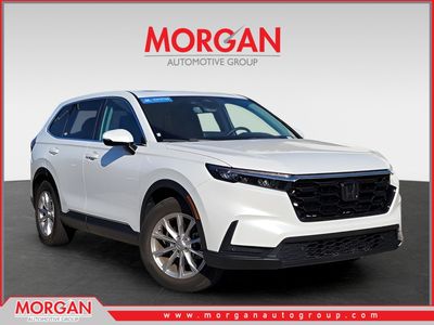 2023 Honda CR-V EX-L in Platinum White Pearl — front three-quarter view