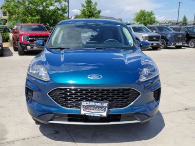 2020 Ford Escape — detail view