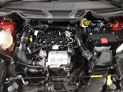 2021 Ford EcoSport — photo 9 view