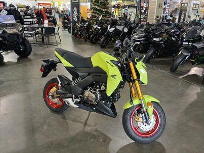 2026 Kawasaki Z125 PRO — rear three-quarter view