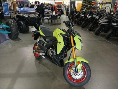 2026 Kawasaki Z125 PRO — interior view
