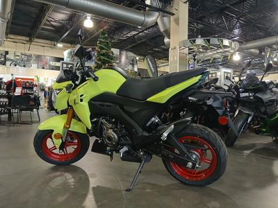 2026 Kawasaki Z125 PRO — photo 10 view