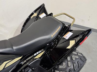 2026 Denago Powersports Daytona 250 FI - Photo 16