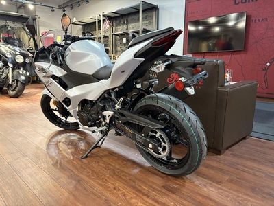 2025 Kawasaki Ninja 500 — rear three-quarter view