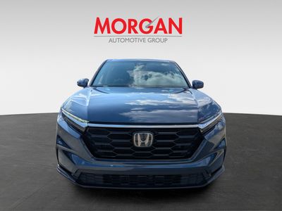 2024 Honda CR-V — photo 8 view