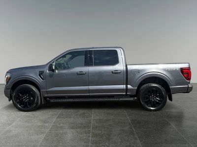 2025 Ford F-150 — detail view