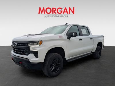 2022 Chevrolet Silverado 1500 — photo 8 view
