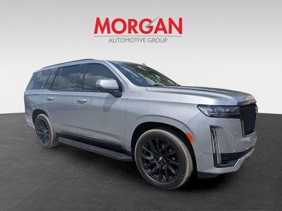 2024 Cadillac Escalade — side profile view