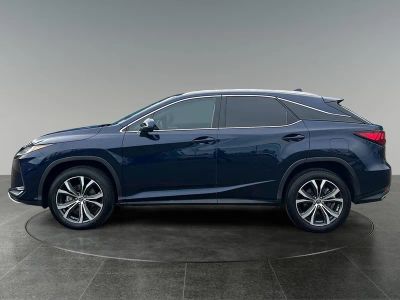 2021 Lexus RX — detail view