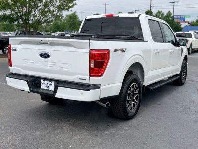 2023 Ford F-150 — photo 10 view