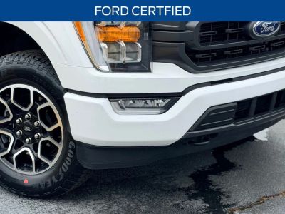 2023 Ford F-150 — rear three-quarter view
