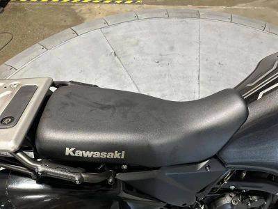 2025 Kawasaki KLR650 S Pearl Crystal White/Metallic Carbon Gray - Photo 10