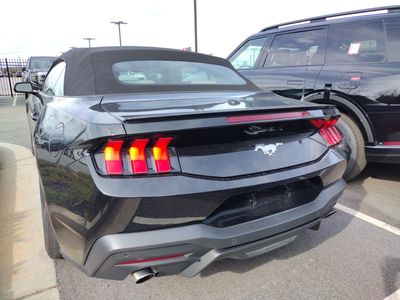 2024 Ford Mustang - Photo 4
