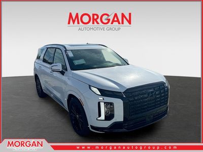 2025 Hyundai PALISADE Calligraphy Night Edition in Hyper White — front three-quarter view