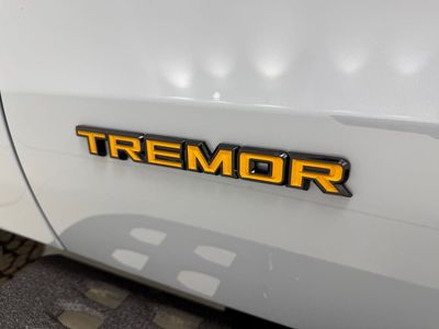 2026 Ford Expedition Tremor SUV V6 EcoBoost High Output - Photo 11