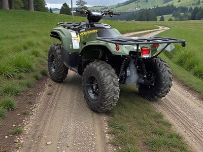 2026 Yamaha Kodiak 700 EPS - Photo 2