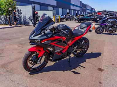 2025 Kawasaki Ninja 500 ABS Passion Red/Metallic Flat Spark Black - Photo 7