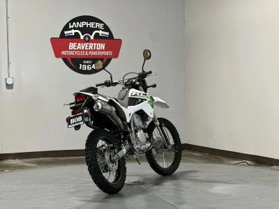2026 Kawasaki KLX300 - Photo 3