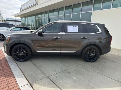 2020 Kia Telluride - Photo 3