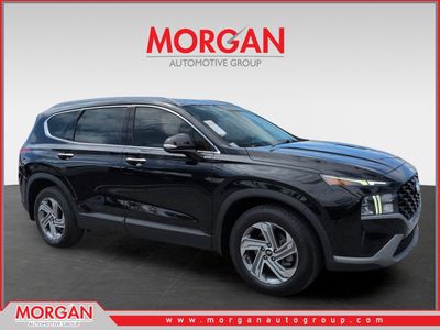 2023 Hyundai Santa Fe SEL in Black — front three-quarter view