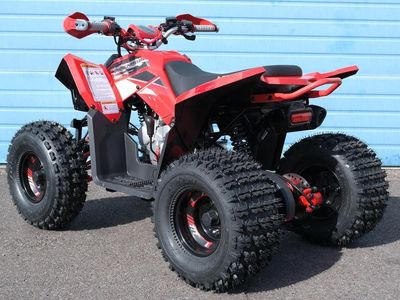 2026 Denago Powersports Trailhawk 10 FI - Photo 3