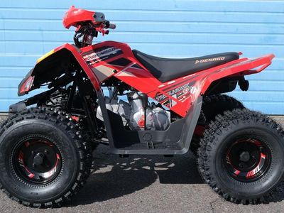 2026 Denago Powersports Trailhawk 10 FI - Photo 2