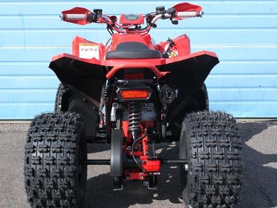 2026 Denago Powersports Trailhawk 10 FI - Photo 4
