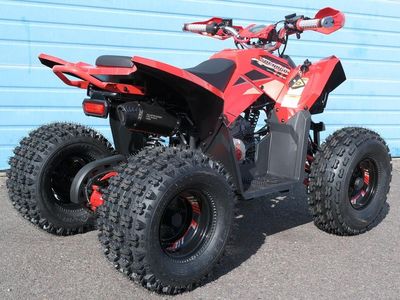 2026 Denago Powersports Trailhawk 10 FI - Photo 5