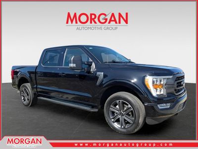 2023 Ford F-150 XLT in Black — front three-quarter view