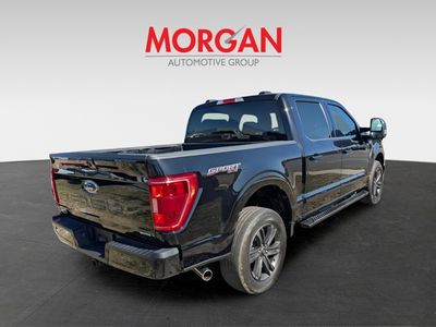 2023 Ford F-150 — rear three-quarter view