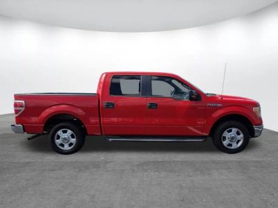 2014 Ford F-150 - Photo 3