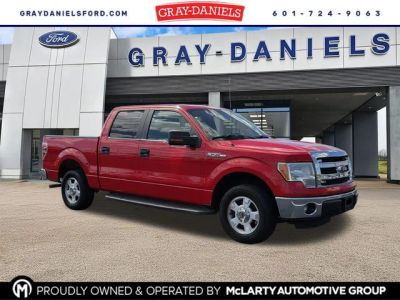 2014 Ford F-150 - Photo 1
