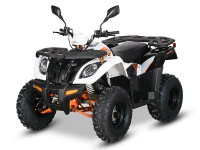 2025 Kayo Bull 300 EFI - Photo 4