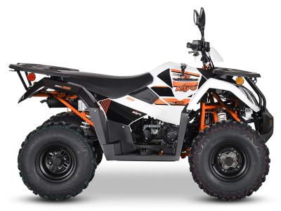 2025 Kayo Bull 300 EFI - Photo 1