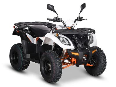 2025 Kayo Bull 300 EFI - Photo 3