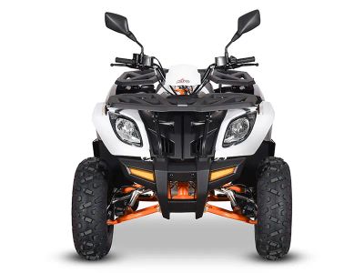 2025 Kayo Bull 300 EFI - Photo 5