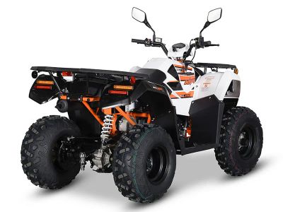 2025 Kayo Bull 300 EFI - Photo 6