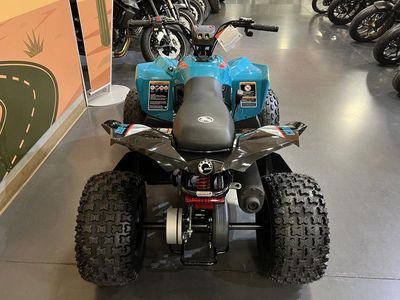 2026 Can-Am Renegade 110 EFI - Photo 4