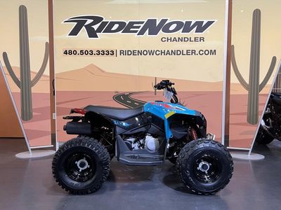 2026 Can-Am Renegade 110 EFI - Photo 5