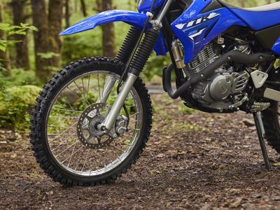 2026 Yamaha TT-R125LE - Photo 14
