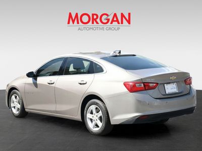 2024 Chevrolet Malibu - Photo 4